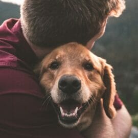 A dog smiling while being hugged by its owner.