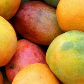 A pile of mangoes, high in myrcene.