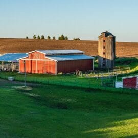 A farm with a red barn and storage silo in the foreground, with crops behind it.