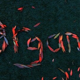 The word "organic" spelled out with flower petals against a black background.