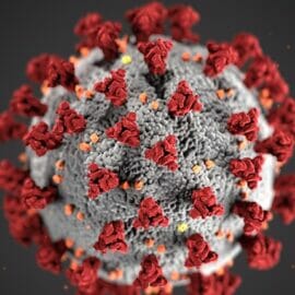 Macro rendering of the Coronavirus.